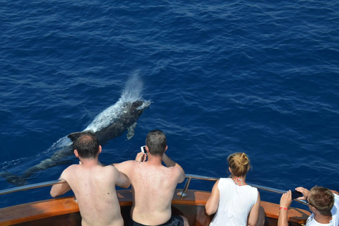 Alanya Coastal Cruise: Sun, Swim & Scenic Views Meeting Point in Alanya Harbour At The Boat