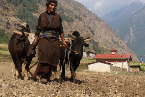 Trekking Ghorepani Poonhill