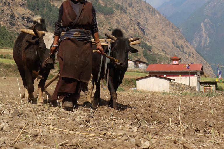 Trekking Ghorepani Poonhill