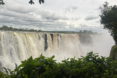 Victoria Falls: Guided Tour with Rainforest Walk