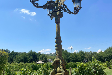 Florence: Pisa, Siena, & San Gimignano Day Trip with Lunch VIP SMALL GROUP