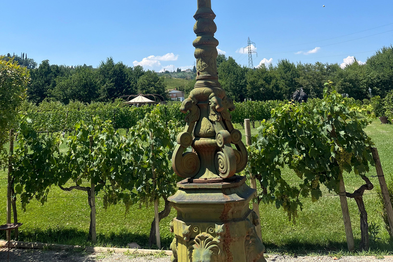 Florence: Pisa, Siena, & San Gimignano Day Trip with Lunch VIP SMALL GROUP