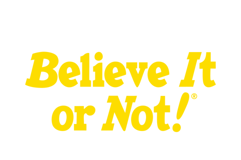 Copenhagen: Ripley&#039;s Believe It or Not! 4-Way Combo Ticket