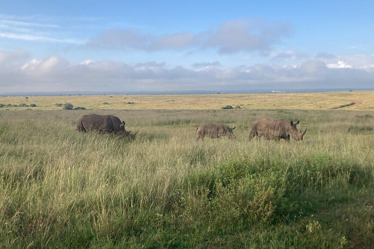 Nairobi National Park, Elephant Orphanage and Giraffe Centre Nairobi National Park, Baby Elephant and Giraffe Centre
