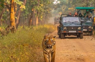 Kathmandu: 4-tägige private Chitwan National Park Safari Tour