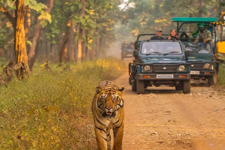 Kathmandu: Tour privato di 4 giorni con safari nel Parco Nazionale di Chitwan