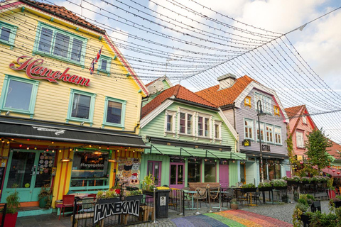 Private Stavanger city Highlights Driving tour