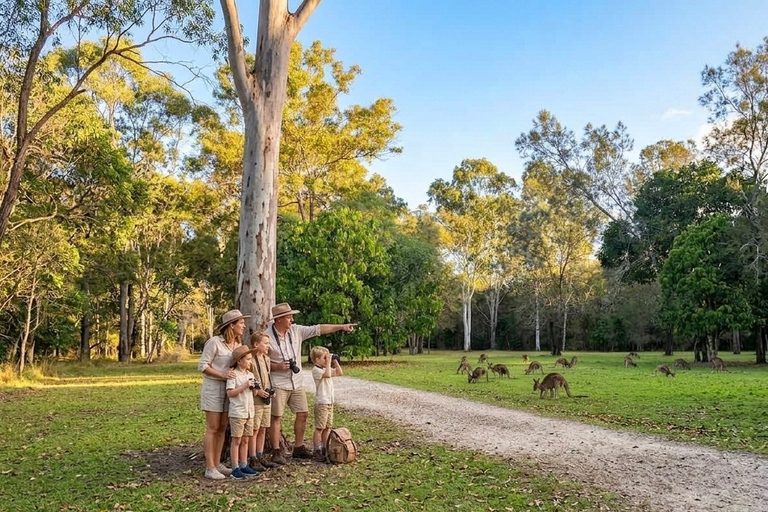 From Brisbane: Private Gold Coast Tour with Meal and Skywalk