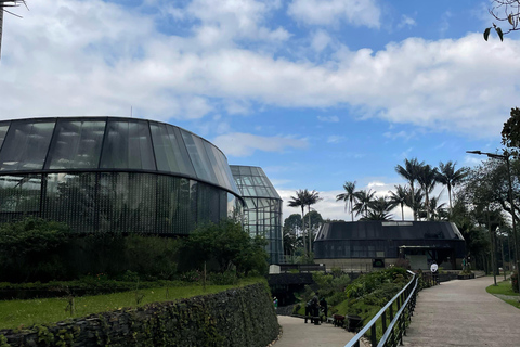 Bogotá: Botanical Garden Sightseeing Tour and Visit to the Paloquemao Market with Fruit Shared Sightseeing Tour + Tickets + Fruit