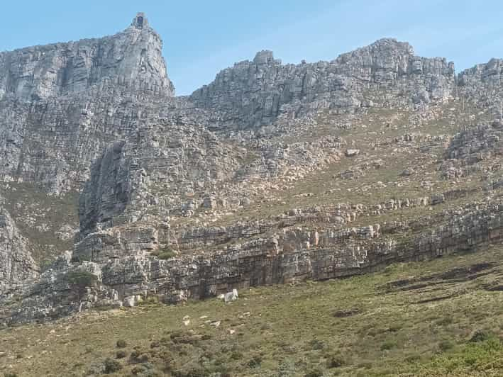 Le Cap Billets Pour Le T L Ph Rique De Table Mountain Getyourguide