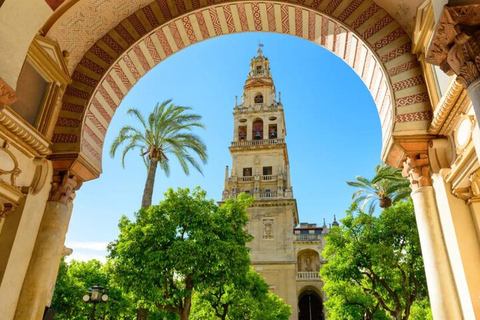 Sevilla: Tour naar Cordoba en Moskee Kathedraal