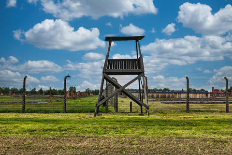 From Krakow: Auschwitz &amp; Birkenau Guided Tour with LunchBoxGuided Tour with Transportation from Meeting Point