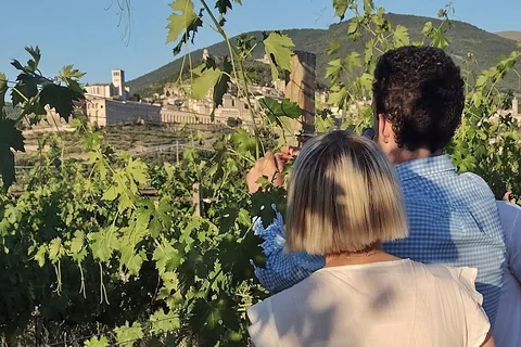 Assisi: Wine tasting, gourmet pairing, walk in the vineyards