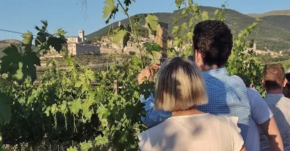 Assisi: Weinverkostung, Gourmet-Paarung, Spaziergang in den Weinbergen