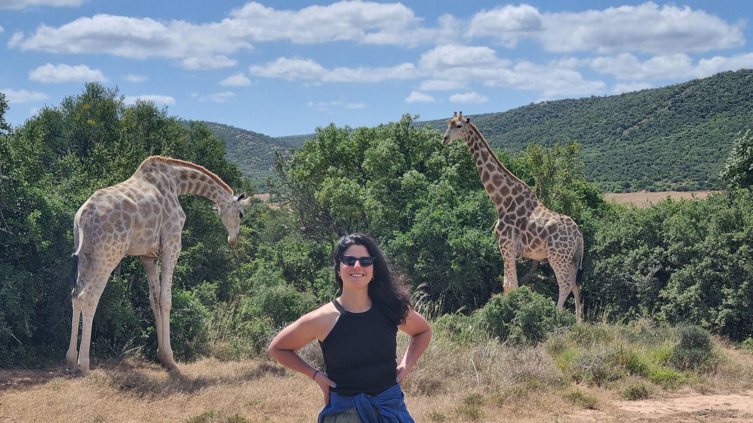 Addo Elefantenpark und Giraffenspaziergang Ganztagessafari