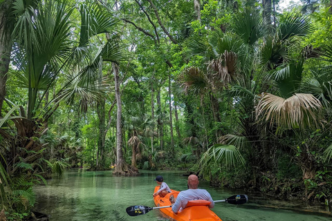 Florida: VIP Wild Florida Kayak Adventure VIP Wild Florida Kayak Adventure - Single Kayak