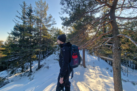 Panoramagipfel – Oslos beste Wanderung mit Blick auf die FjordePanoramische Gipfel – Oslos beste Wanderung mit Fjordblick