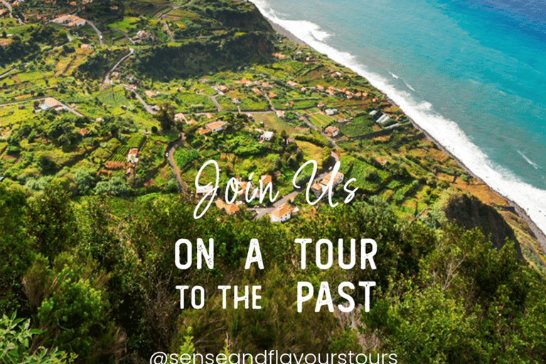 VW VAN Tours | NORDESTE