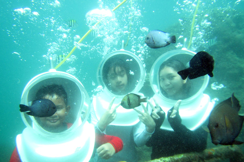 Bali: Sea Walker Under Water Experience Bali: Fish Sighseeing and Feeding Under Water Experience