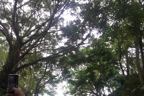 Privétour door Taipei met afternoon tea en fietsen