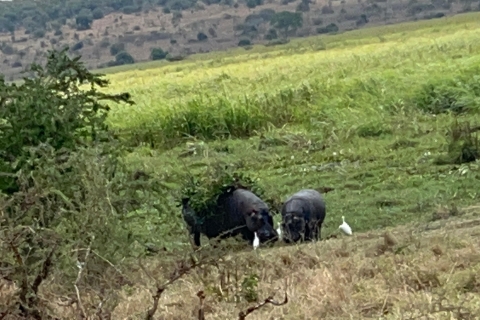 4 jours d'excursion au Rwanda pour découvrir la faune et la flore et faire du trekking avec les gorilles