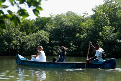 Hôtel Isla del Sol dans les îles du Rosario : Daypass Premium Isla del SolHôtel Isla del Sol sur les îles du Rosario : Daypass Premium Isla del Sol