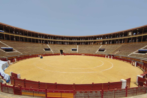 Alicante : Visite des arènes et du musée avec AudioguideVisite des arènes d'Alicante et du musée de la tauromachie