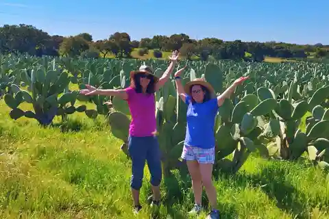 Alentejo: Prickly Pear Orchard and Cork Oak Forest Tour