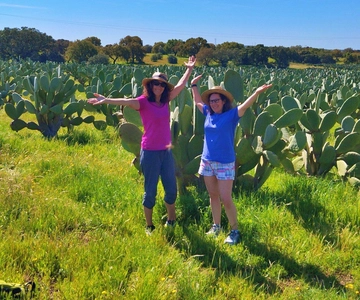 Alentejo: Prickly Pear Orchard and Cork Oak Forest Tour