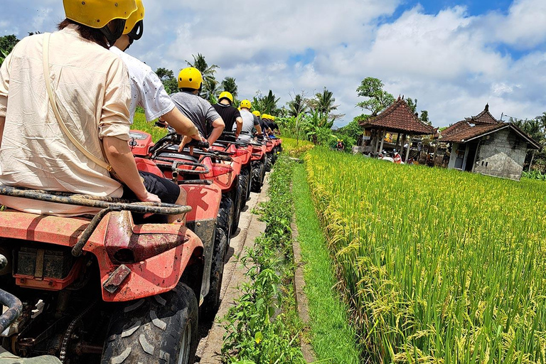 Ubud: Gorila face atv tubingAtv individual + Tubo1