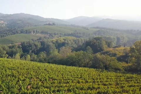 Siena, San Gimignano and Chianti Experience