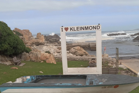 From Cape Town: Whale Watching and Penguins Tour Whale watching route tour
