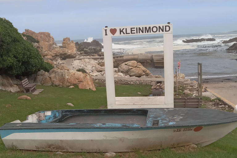 From Cape Town: Whale Watching and Penguins Tour Whale watching route tour