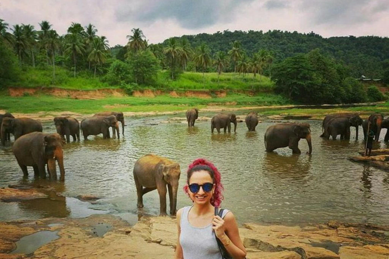 Kandy: Pinnawala, Ambuluwawa, and Village Tour