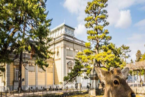 大阪/京都：京都和奈良私人定制一日旅行