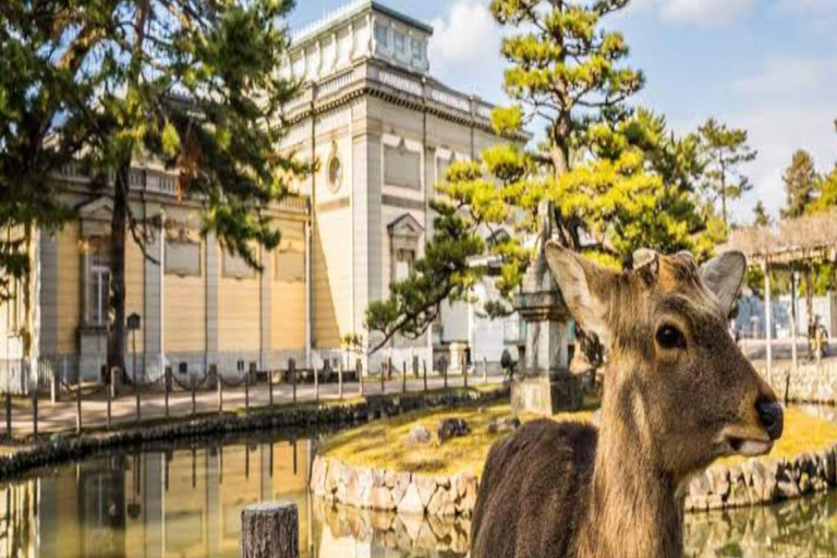 大阪/京都：京都和奈良私人定制一日旅行