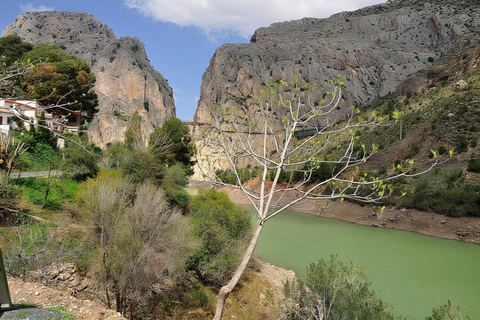 Private day trip from Malaga to Caminito Del Rey Private tour