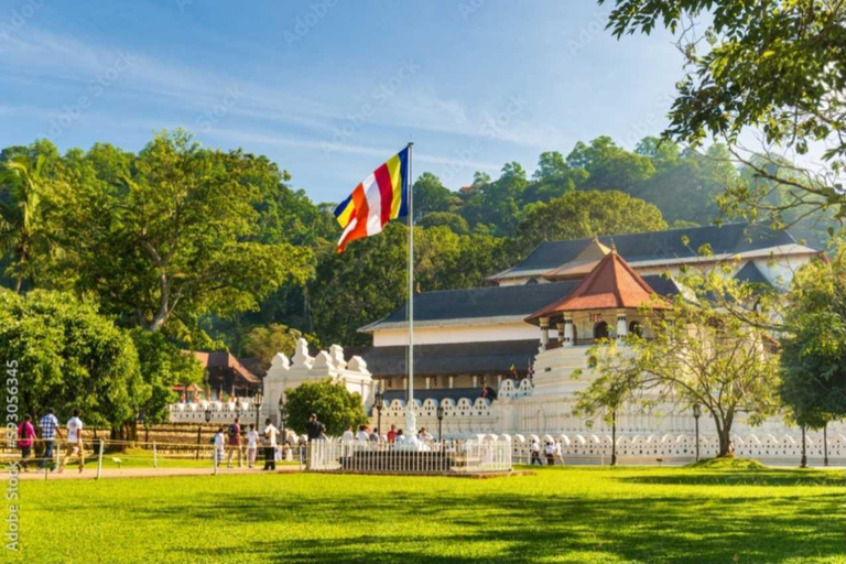 Kandy Top City Sights & Agro Tech Park Visit 4-Hours Tour Kandy Top City Sights visit -01