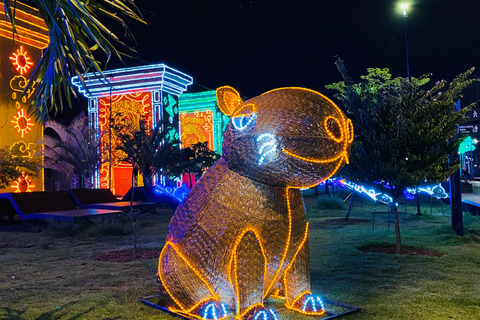 Medellín Te Luces: Visita às luzes de Natal