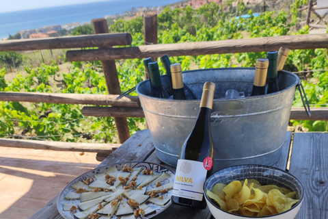 Manilva: Nilva Vineyard, Wine Tasting & Tapas Guided Tour Manilva: Nilva Wine Experience: Wine & Tapas