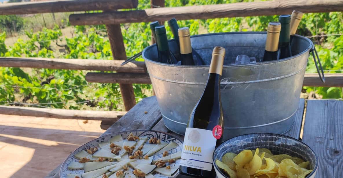 Afbeelding 4 van Manilva: Wijngaard Nilva, Wijnproeverij & Rondleiding Tapas
