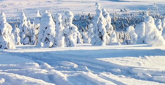 Saariselkä: Inari Day Trip with Ice Fishing & Sámi Museum