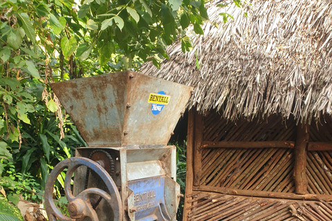 Day Trip To Materuni For Waterfall, Coffee Tour & Local Dish