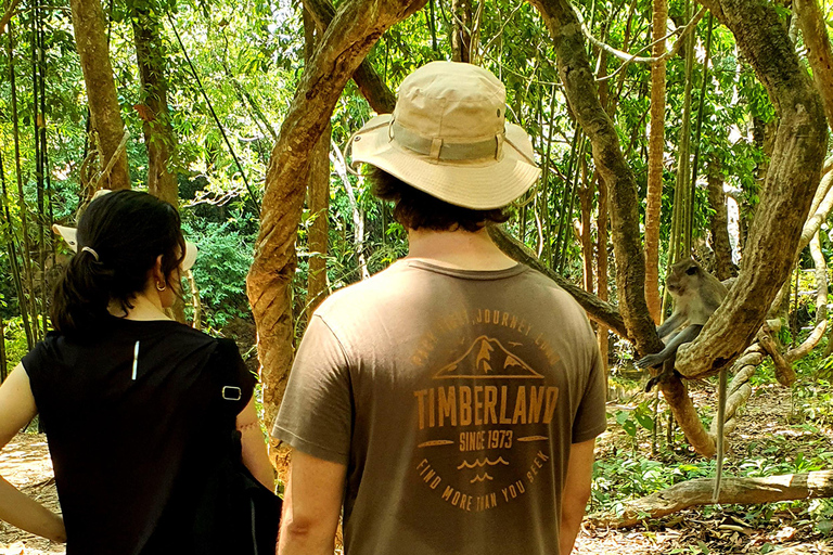 Khao Sok: All-Inclusive Day & Night Trek with Bamboo Dinner Option 2: Day & Night Trek with Bamboo Dinner From Khao Sok