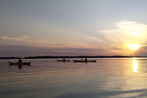 Roskilde: Guided kayaking on Roskilde Fjord: Sunset tour