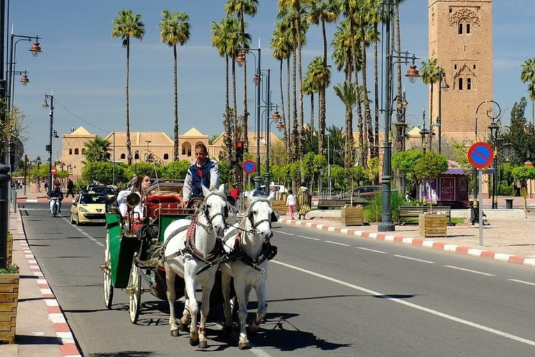 From Marrakech: 3-Day Merzouga Tour with Camel Trek & Luxury Camp Shared Standard Sahara Tour – Popular Choice