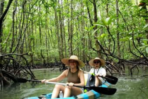 ZANZIBAR: Mangrove Kayaking and Turtle Swim at Salaam Cave PRIVATE TOUR INCLUDES TRANSFER