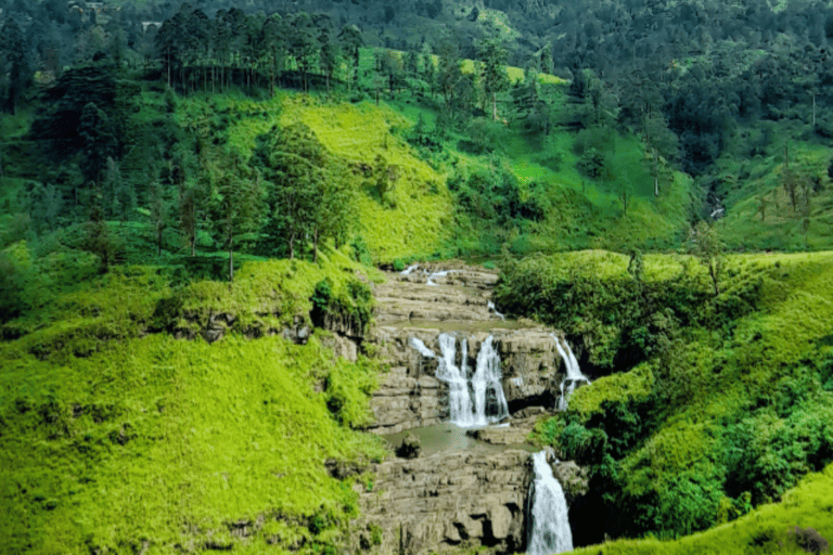 Circuit de 11 nuits et 12 jours au Sri Lanka : Nature, Culture, Expériences locales !