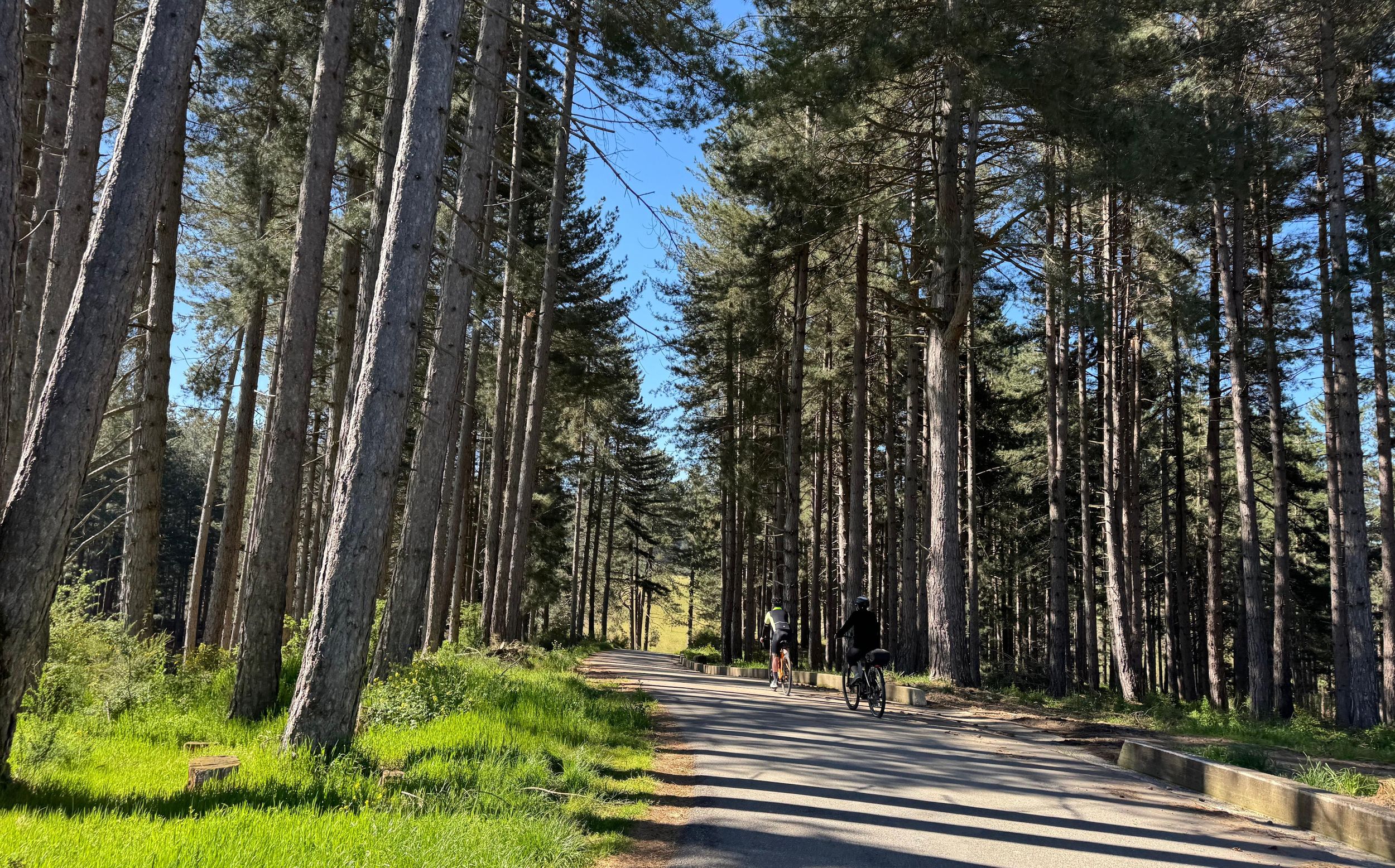 E-Bike-Tour in der Sila und Verkostung typischer Produkte