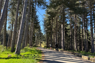 E-bike tour in Sila and tasting of typical products